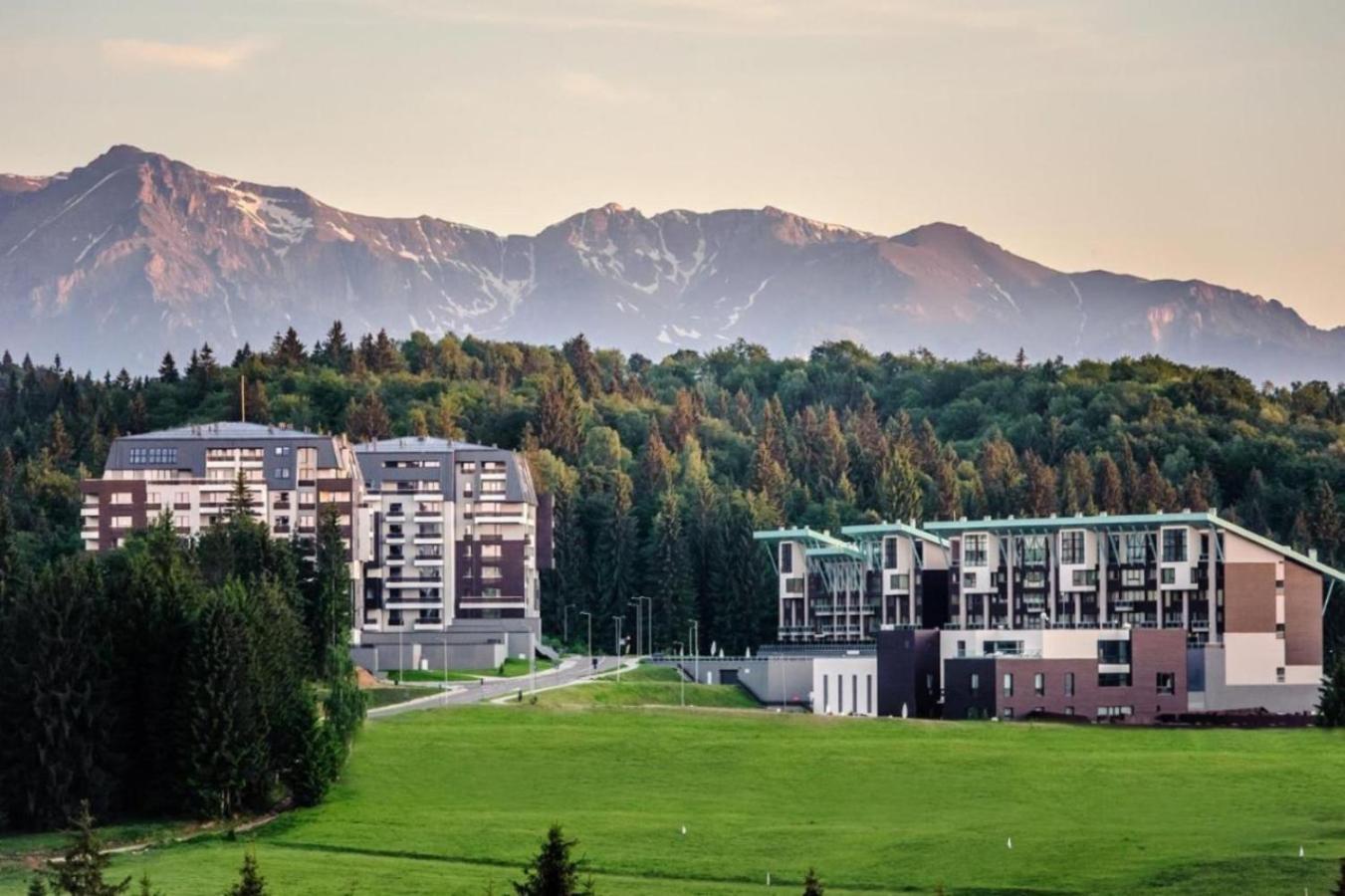 Alpine Escape Studio - Silver Mountain Resort & Spa - 波亚纳布拉索夫 外观 照片